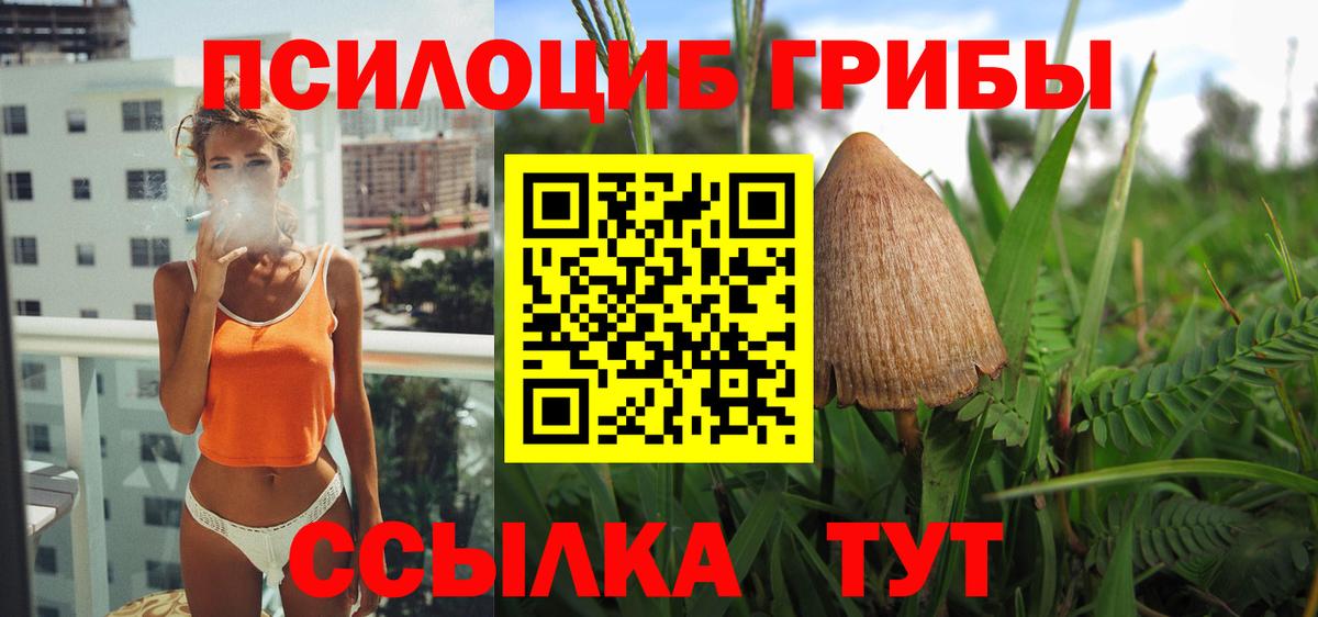 Галлюциногенные грибы Psilocybine cubensis Еманжелинск